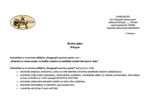 DAP_Ric_plans_2020