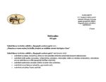 SIA_DAP_Ric_plans_DPP_2022